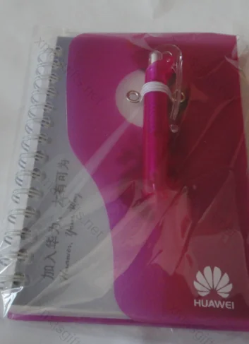 SC Johnson Chile 2013 branded merchandise