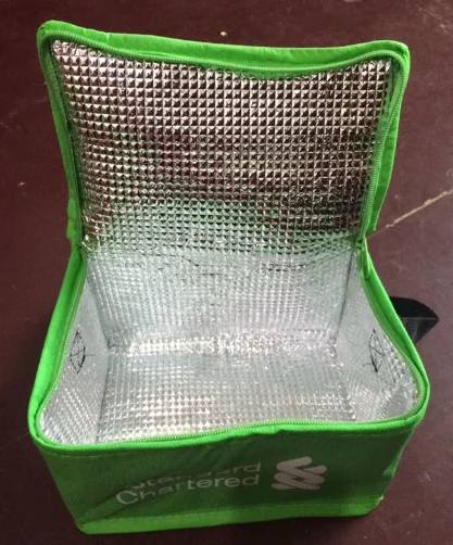 Standard Chartered insulated bag